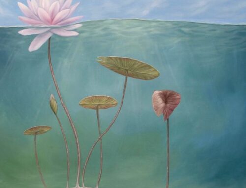 Mis see transformatsioon on?